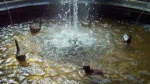 Марусенька, не плакай, ага...)))))))