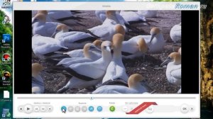 Простая программа для обрезки видео