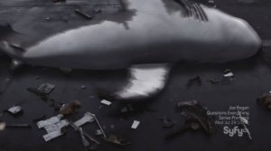 5 самых упоротых фильмов про акул!