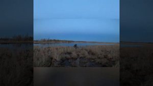 Охота на гуся и уток в Якутии