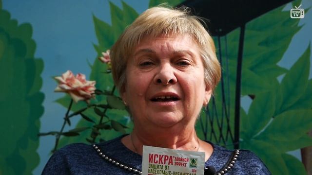 ТЛЯ НА РОЗАХ ?  Средство от тли Хитсад