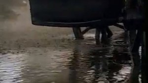 Банк Империал: Пётр I