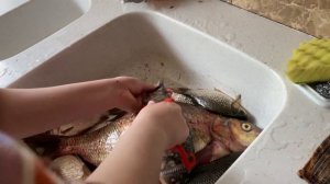 ЛАЙФХАК - КАК БЫСТРО ПОЧИСТИТЬ РЫБУ!