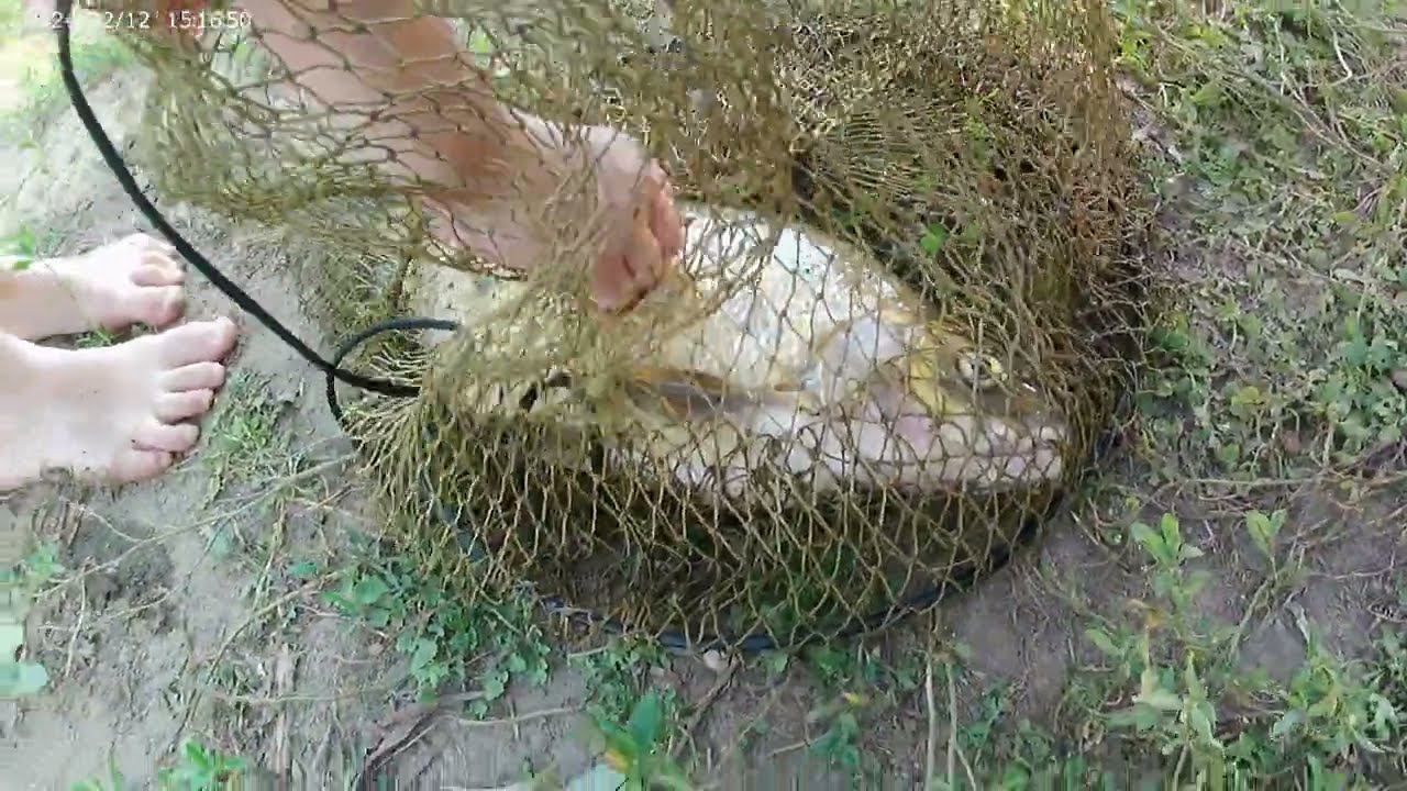 Влог Как я ПРОВЕЛ свои каникулы в ПОСЕЛКЕ! смотреть онлайн