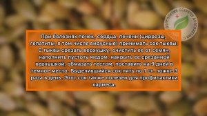 Разбираемся - ТЫКВА ЧУДО ИЛИ ЯД? Узнайте о влиянии этого оранжевого овоща  на ЗДОРОВЬЕ