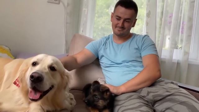 Самые Невероятные Вещи, Найденные Внутри Животных смотреть онлайн