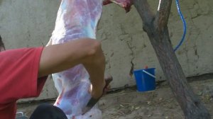 как резать барана восточные мужчины узнают с ранних лет, наблюдая за работой рук своих отцов и дедо