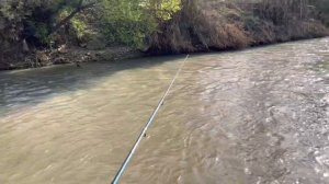 ASAKA SHARXON SOYDA BALIQ OVI | АСАКА ШАРХОН СОЙ БАЛИК ОВИ