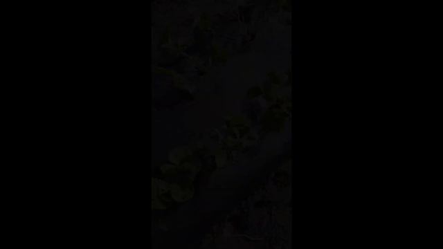 Высокие грядки для клубники финская технология. Как подготовить почву используя зерновую триходерму смотреть онлайн