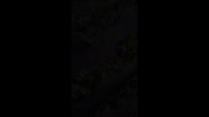 Высокие грядки для клубники финская технология. Как подготовить почву используя зерновую триходерму