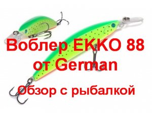 Воблер EKKO 88 от German. Обзор с рыбалкой