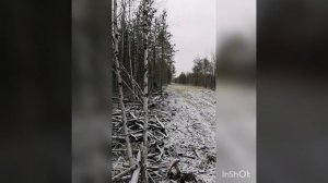 Охота с гончими