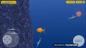 Прохождение игры Тести блю 🐬🐋🐠🐟