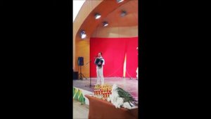 Песни под баян. Иван Вахрушев