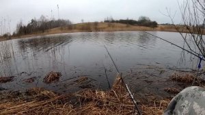 ЖИРНЫЙ БАТОНЧИК!!РЫБАЛКА НА ПОПЛАВОК ВЕСНОЙ. РЫБАЛКА В АПРЕЛЕ 2023