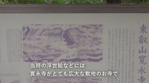 東京国立博物館へ｜夏の上野公園で過ごした一日｜上野の杜【東京散歩96】