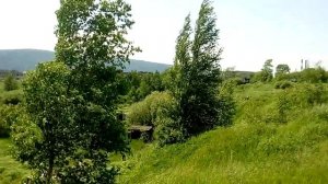 Природа Хабаровского края.