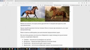 4. Описание типажа Гамин-Натурал. Разбираем Лукбук по Ларсон-Маменко