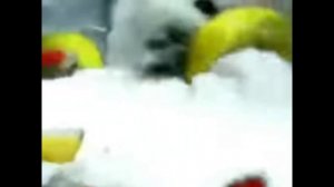 реклама Экзо