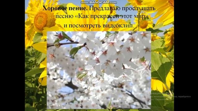 Самопознание. 5 класс. Как прекрасен этот мир! смотреть онлайн