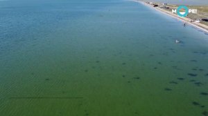 Сиваш с дрона