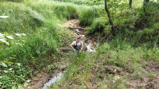 Все о трассе Motive Gear Swamp Way смотреть онлайн