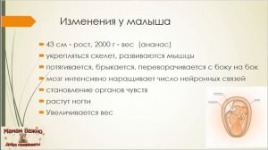 33 неделя беременности: особенности, изменения, рекомендации