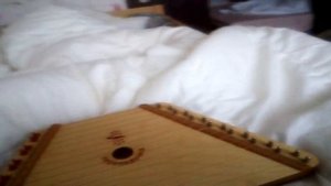 Играю на перепелочке.