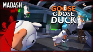 Goose Goose Duck #5 (со стримерами)