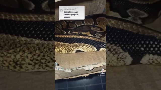 Видимо каждый меряет по своей безалаберности!