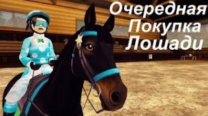 Покупка очередной Английской Чистокровной в STAR STABLE