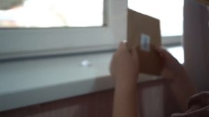 КВЕСТ ФИНЕС И ФЕРБ на День рождения Ксюши!