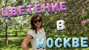 Цветение в Москве