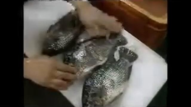 Машина для снятия чешуи большая автомат смотреть онлайн