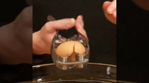 ножница для раскрытие яийц