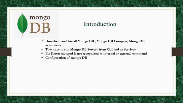 Mongo DB Set Up Complete Guide --   #1 Introduction