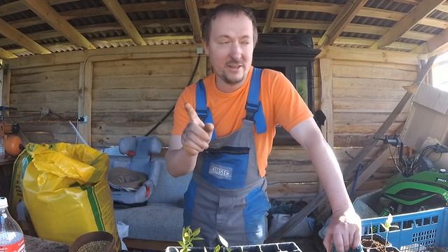 ДАЧНИКИ против МЕСТНЫХ // СКОТИНА vs ГАЗОНЫ // Придомовая территория в деревне смотреть онлайн