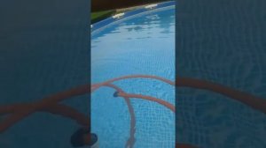 Каркасный бассейн интекс и уход за водой