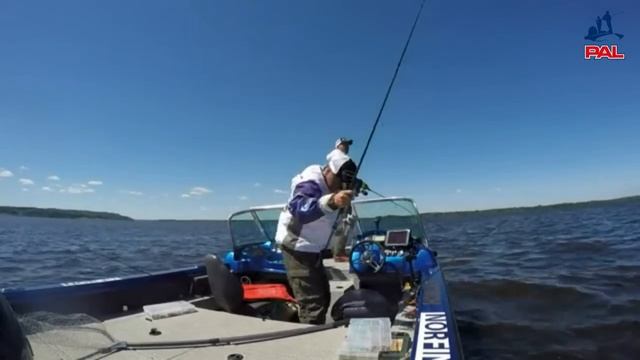 Прямая трансляция из лодок. PAL 2016 - 1 этап - Второй тур