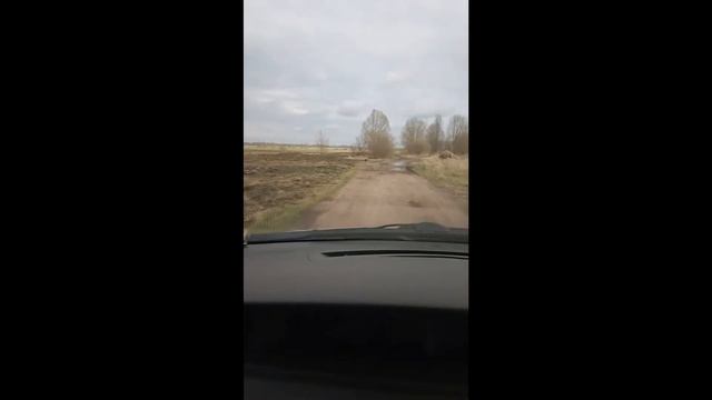 Аист уступает дорогу машине