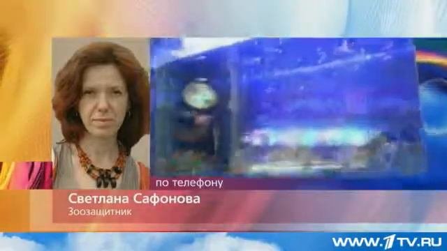 Садистский игровой автомат установили в московском торговом центре