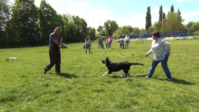 Росс Лайн Цагира смотреть онлайн