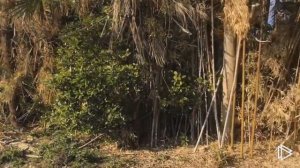 В Японии мало места?? Заводы Японии и самое главное