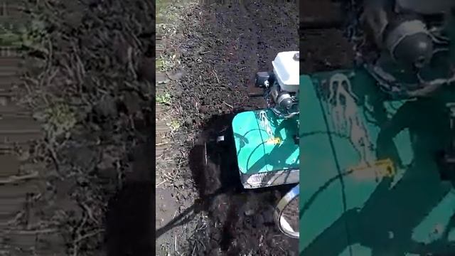 культивация мотоблоком весна 2017