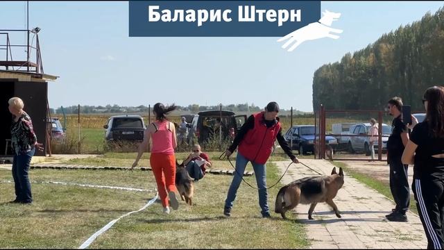 Баларис Штерн - Победитель рабочего класса в Воронеже, сентябрь 2023