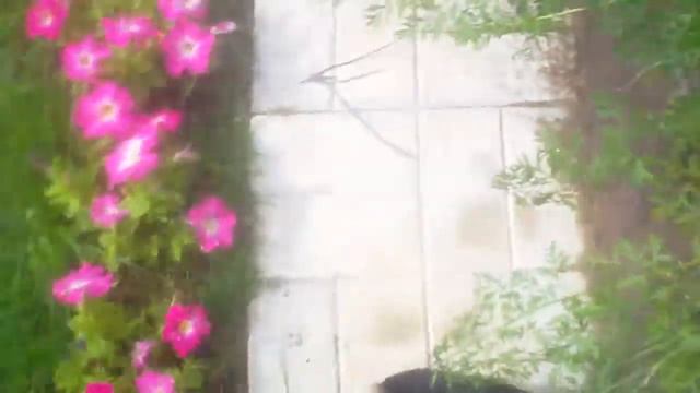 Лето 2015 смотреть онлайн