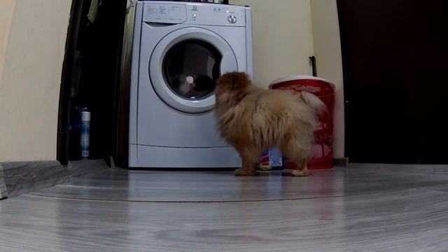 Стирка игрушек Арчи смотреть онлайн