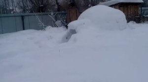 модернизация калитки (перекосило столбы) + бонус