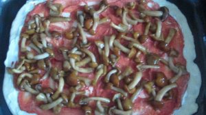 Пицца с опятами