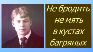 ЕСЕНИН СЕРГЕЙ память о страстной любви.Не бродить, не мять в кустах...